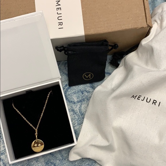 Mejuri Jewelry - MEJURI BRAND NEW NEVER WORN ARIES NECKLACE
